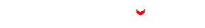 light logo
